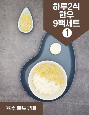 덮밥소스 하루2식한우식단9팩세트1 27회분